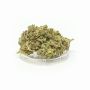 Sativa Poland Susz CBD Tangerine Dream - 3